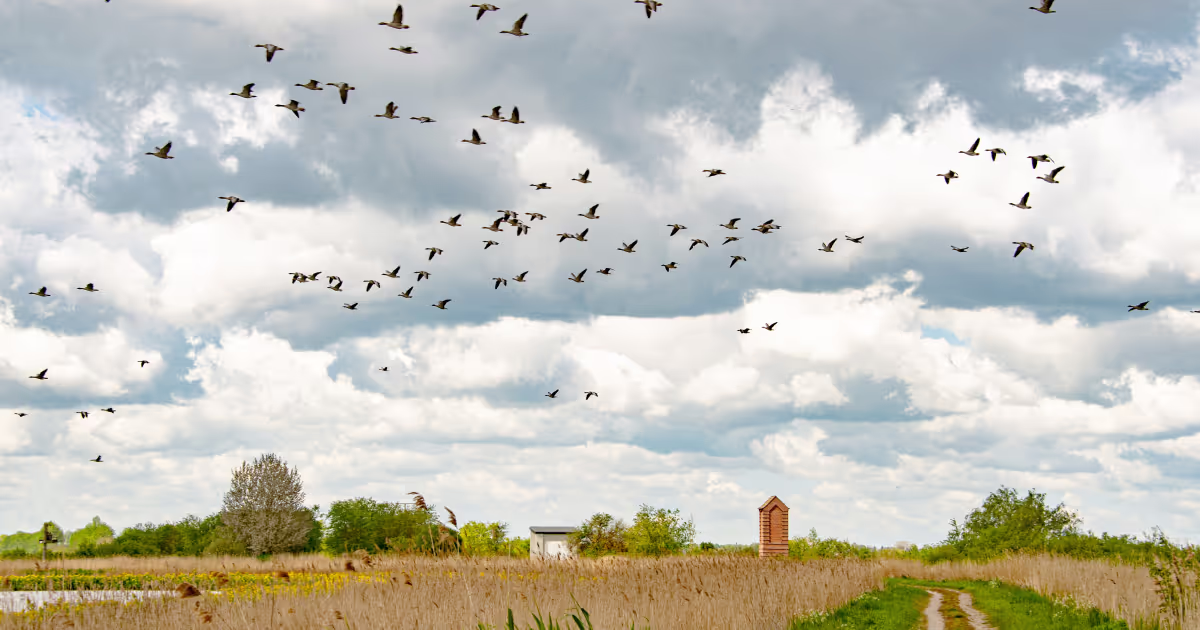 A step-by-step guide to successfully migrating to the cloud