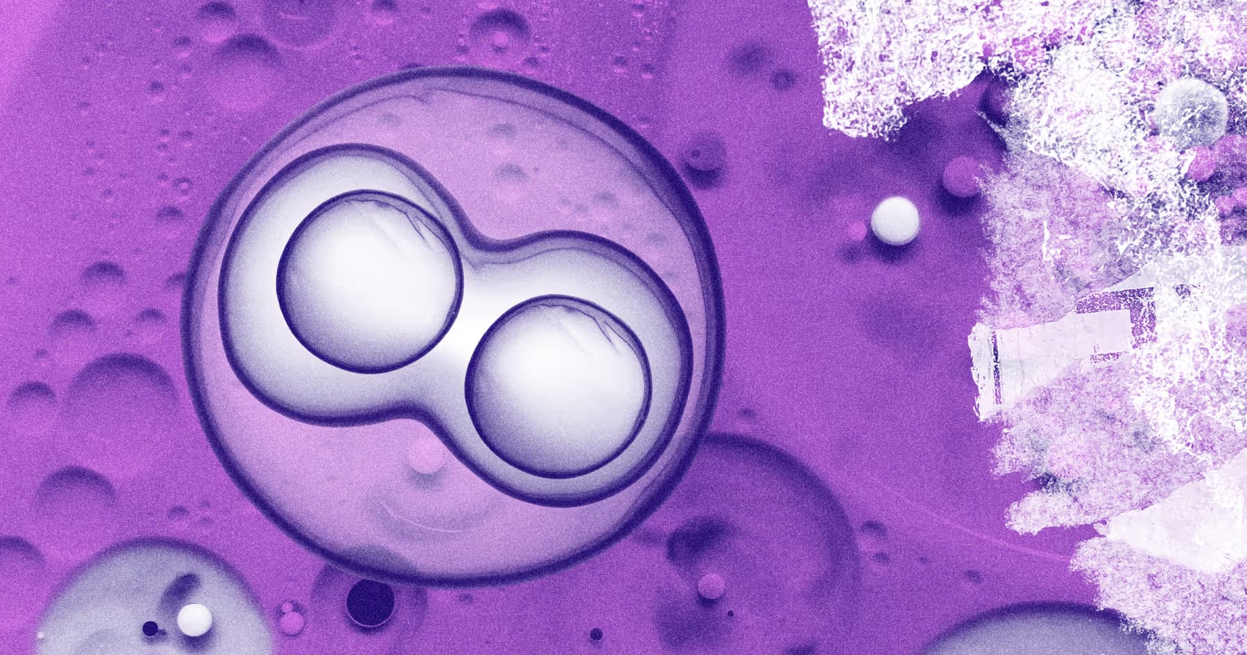 The Ultimate Guide to Service-Oriented Architectures